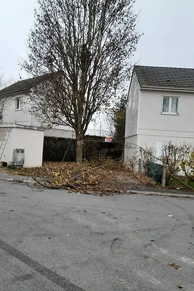 espace vert (7)