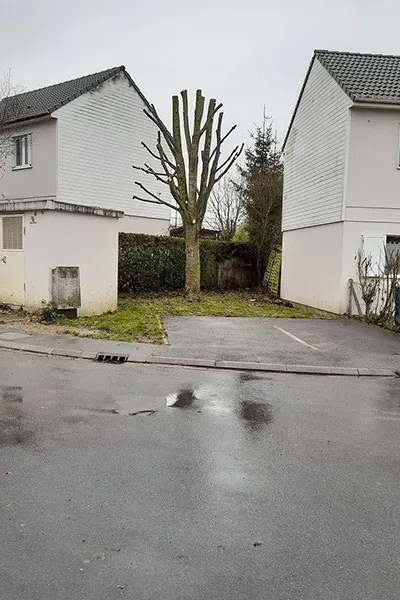 espace vert (8)